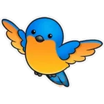 Pajaros Bonitos