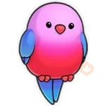 Pajaros Bonitos