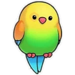 Pajaros Bonitos
