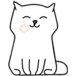 whitecat🐱 