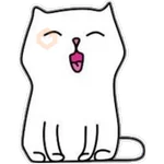 whitecat🐱 