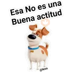 MaScoTas🐱🐰🐶 