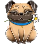 perro pug🐶❤️ 