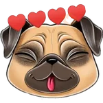 perro pug🐶❤️ 