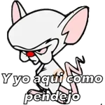 Pinky&Cerebro 