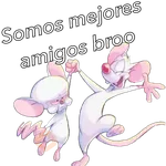 Pinky&Cerebro 
