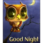 Buenas Noches🌙⭐