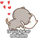 Gatos Horny (Anel y John)