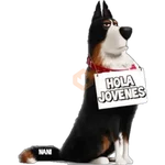 Saludos Pack 2