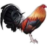 🐓GALLOS DE PELEA🐓 