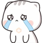 🐼 Ositos Cute 💖 