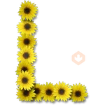 Letras ♡ Girasol 