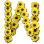 Letras ♡ Girasol 