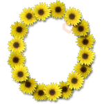 Letras ♡ Girasol 
