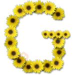 Letras ♡ Girasol 