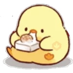 Soft and cute chick winter