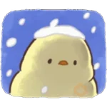 Soft and cute chick winter