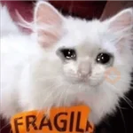 Michis Llorando #2 