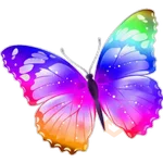 🦋MARIPOSAS BONITAS🦋 