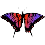 🦋MARIPOSAS BONITAS🦋 