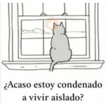 Secuencias Graciosas 5