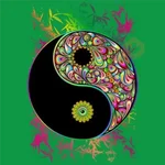 ☯️yin y el yang⚪⚫ 