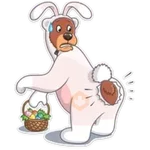 Pascua 