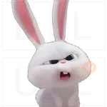 Conejo Snowball 
