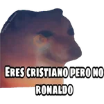 En fin la hipocresía 