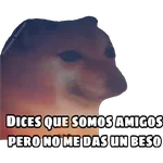 En fin la hipocresía 