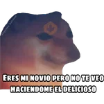 En fin la hipocresía 