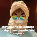 Frases UwU 
