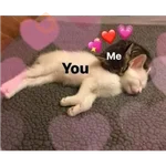 Frases UwU 