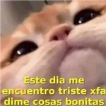 Frases UwU 