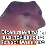 Hipocresía Cheems 2.0 