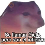 Hipocresía Cheems 