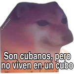 Hipocresía Cheems 