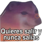 Hipocresía Cheems 