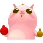 °• PIGIZZANG •° 