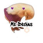 Random (Pollito) 