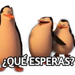 PINGÜINOS DE MADAGASCAR 