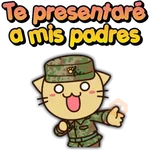 Gatitos romanticosones 😻 