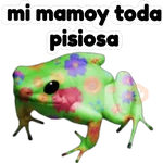 sapos y ranas para my jerrys♡♤ 