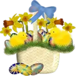 Pascua 