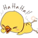 🌼cute litle chicken 🌼 