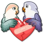 🐦Pajaros Lindos🐦 