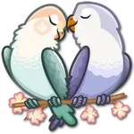 🐦Pajaros Lindos🐦 