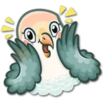 🐦Pajaros Lindos🐦 