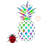 mundo de colores 2💦🐞 
