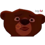 Tierra de osos 🐻🐻 